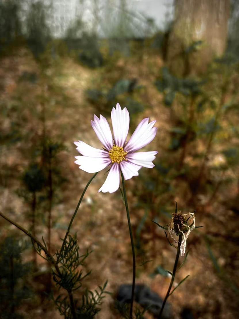 d0338f676fd0686d2d30d171bc71161