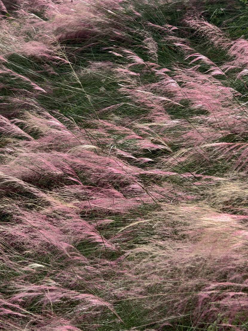 db95cf02e5c2e46683adaac2afe4a53