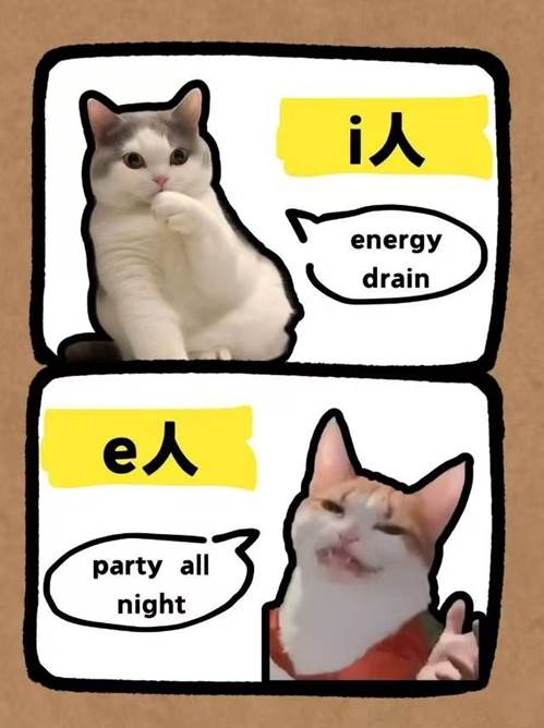 e134a9d92d58317b6ae7441ff0be131